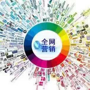 智财富企业网络营销 可落地、可执行、可盈利的解决方案